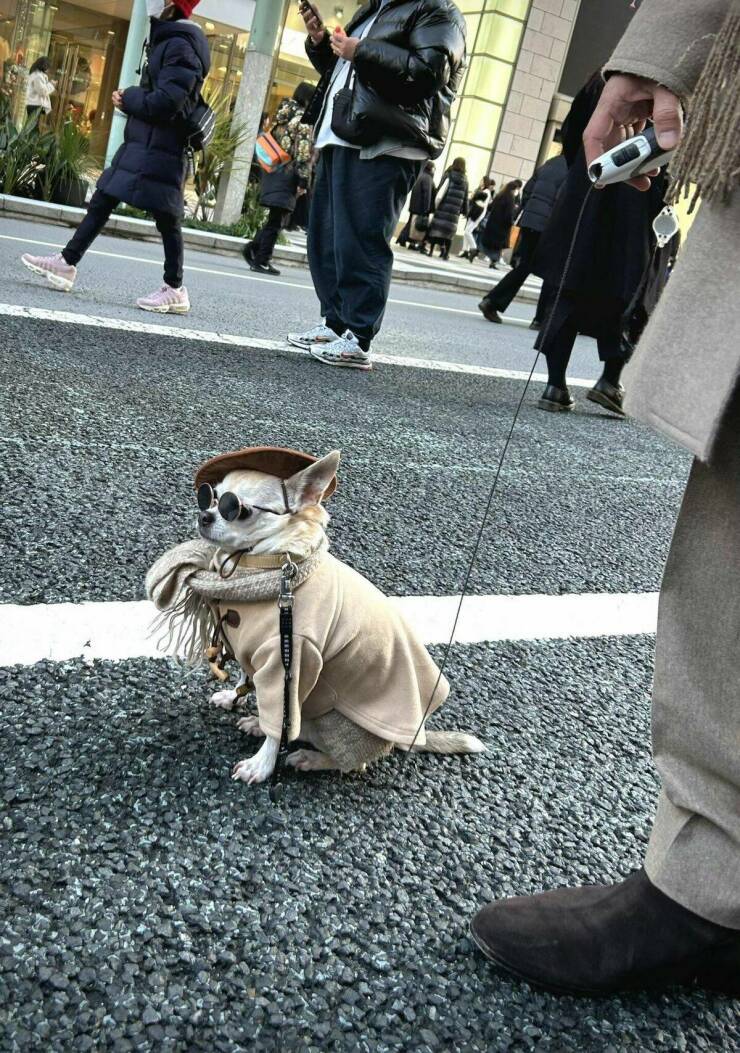 Morning Picdump