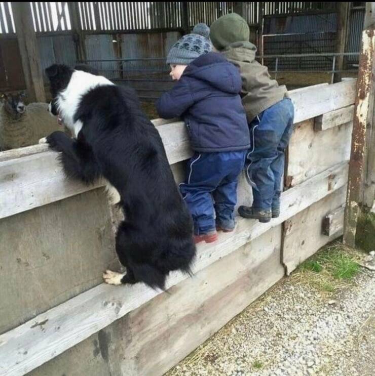 Morning Picdump
