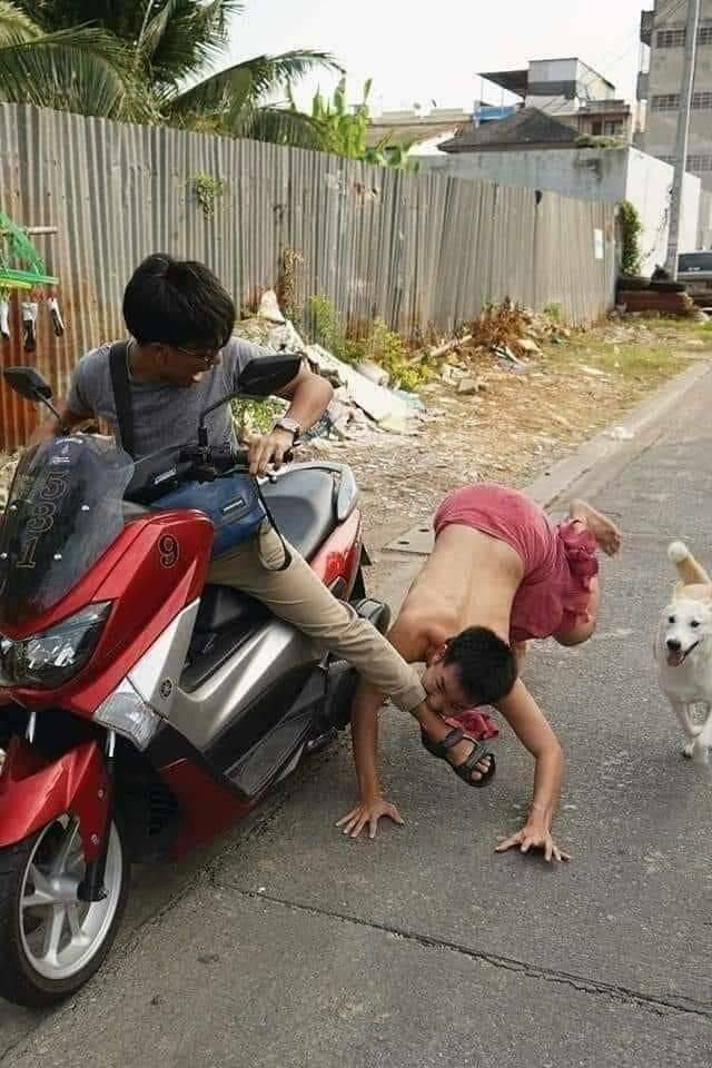 Morning Picdump Morning Picdump