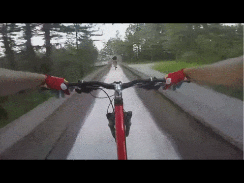 Daily Gifdump Daily Gifdump