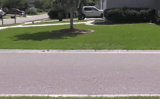 Daily Gifdump Daily Gifdump