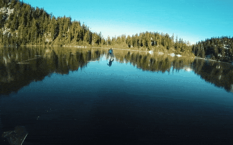 Daily Gifdump Daily Gifdump