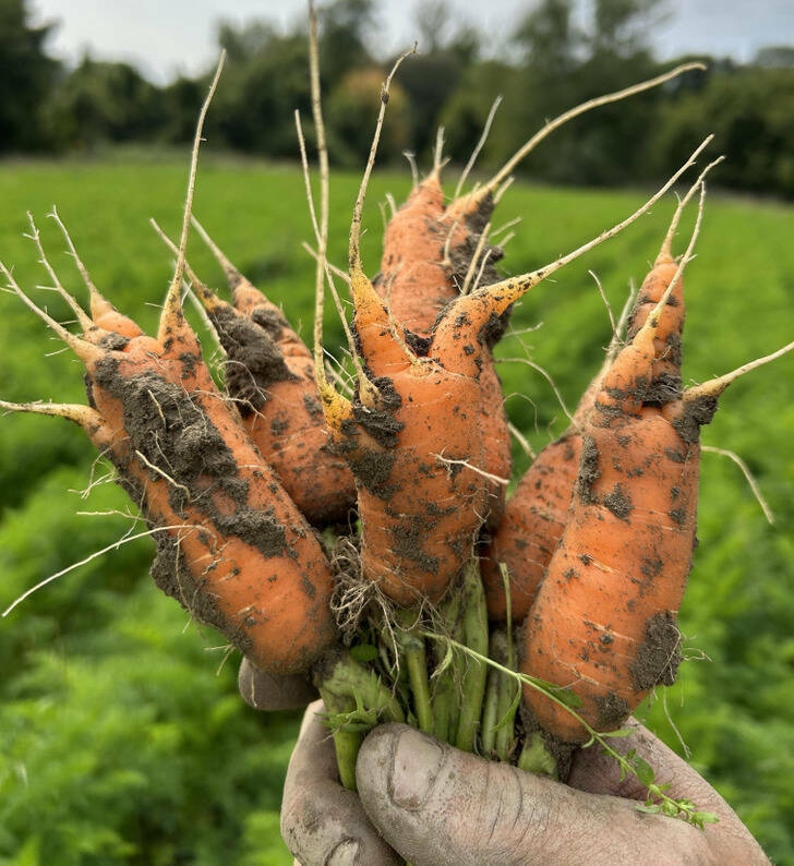 Awkward Moments So Cringe, Theyre Actually Hilarious