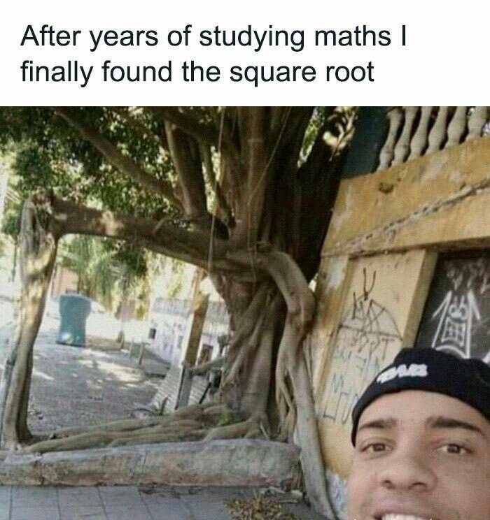 Examples Of Something That Reached “Boss Level” Examples Of Something That Reached “Boss Level”