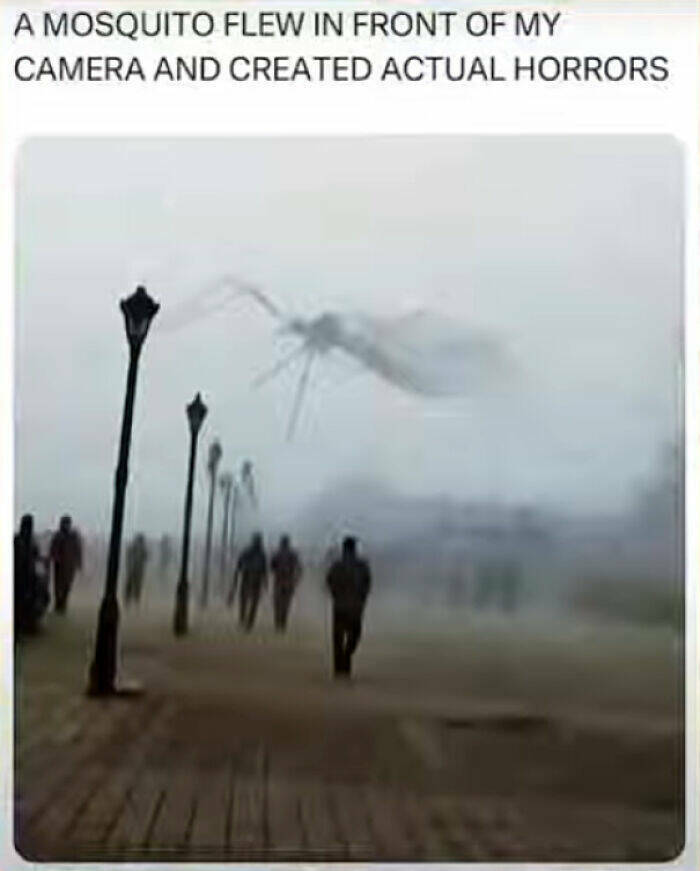 Examples Of Something That Reached “Boss Level” Examples Of Something That Reached “Boss Level”