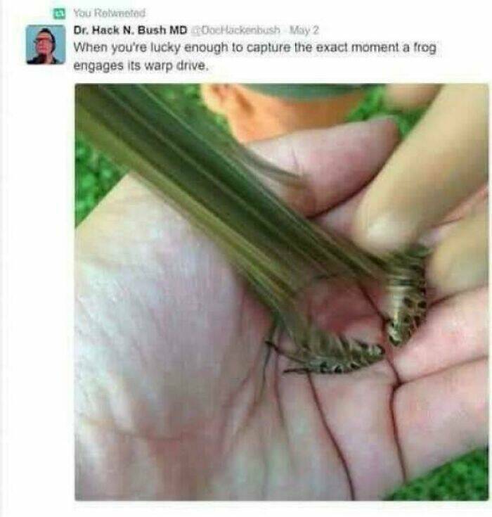 Examples Of Something That Reached “Boss Level” Examples Of Something That Reached “Boss Level”