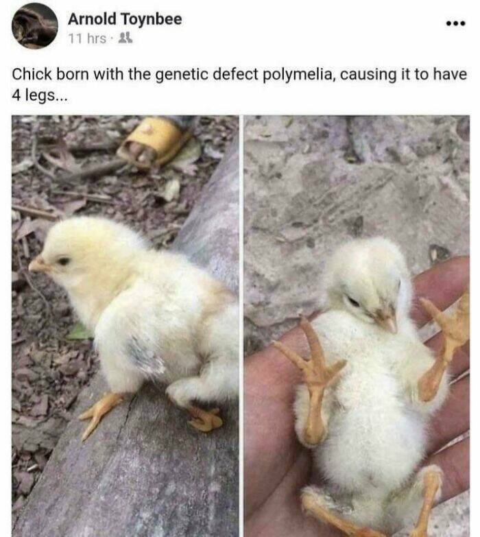 Examples Of Something That Reached “Boss Level” Examples Of Something That Reached “Boss Level”