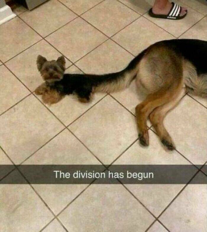 Examples Of Something That Reached “Boss Level” Examples Of Something That Reached “Boss Level”