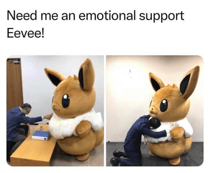 Funny Picdump Funny Picdump