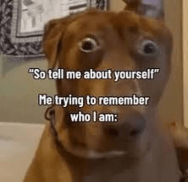 Funny Picdump Funny Picdump