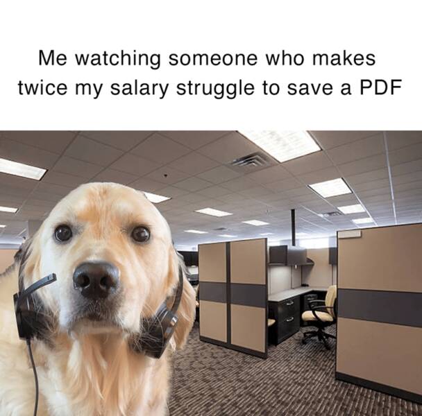 Funny Picdump Funny Picdump