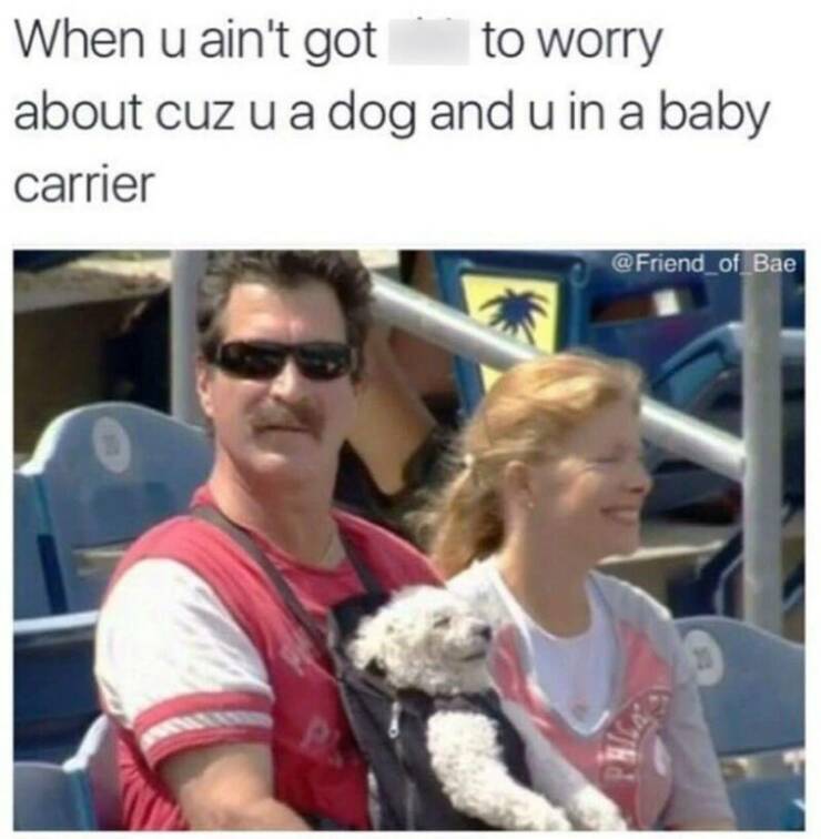 Funny Picdump Funny Picdump