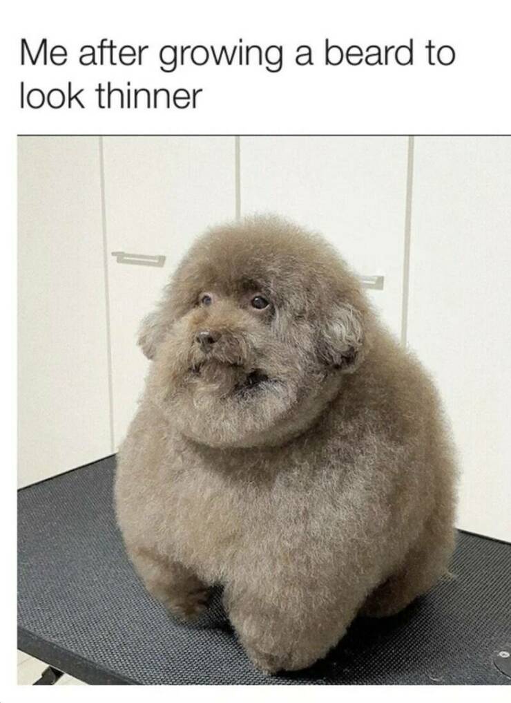 Funny Picdump Funny Picdump