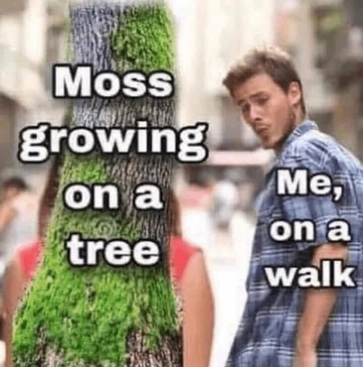 Funny Picdump Funny Picdump