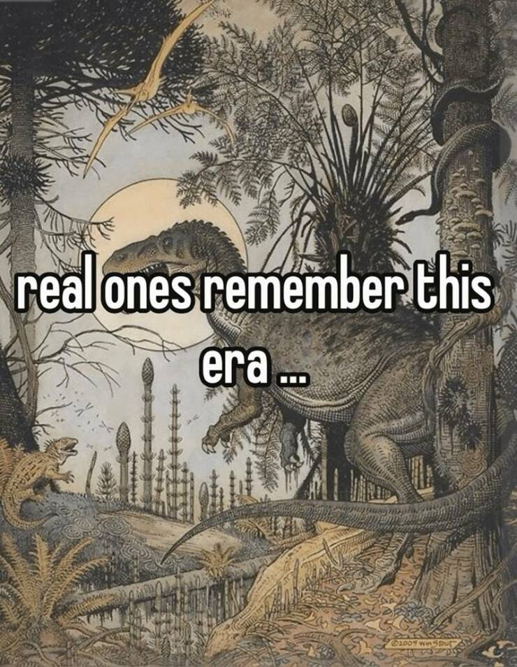 Funny Picdump Funny Picdump