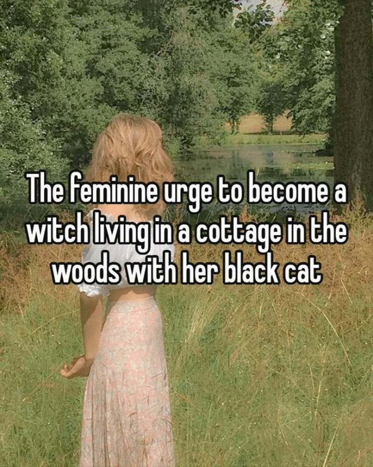 Funny Picdump Funny Picdump