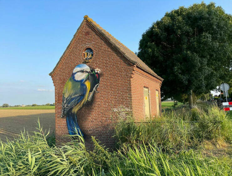 Jan Is De Man’s Mind-Blowing Murals Jan Is De Man’s Mind-Blowing Murals