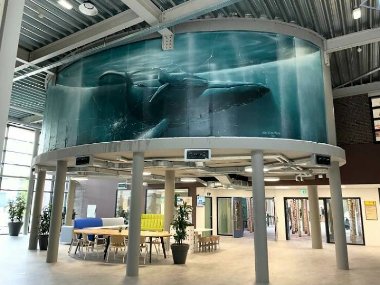 Jan Is De Man’s Mind-Blowing Murals Jan Is De Man’s Mind-Blowing Murals