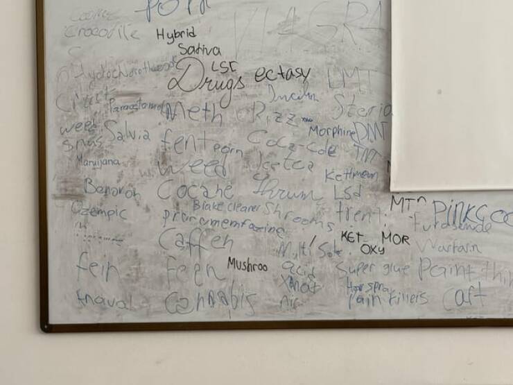 Mildly Interesting Photos That’ll Catch Your Eye