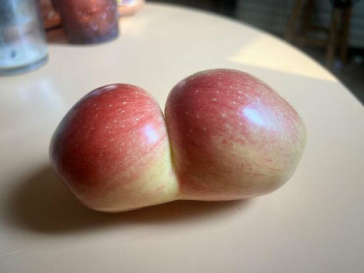 Mildly Interesting Photos That’ll Catch Your Eye