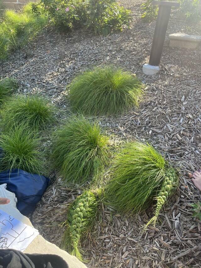 Mildly Interesting Photos That’ll Catch Your Eye