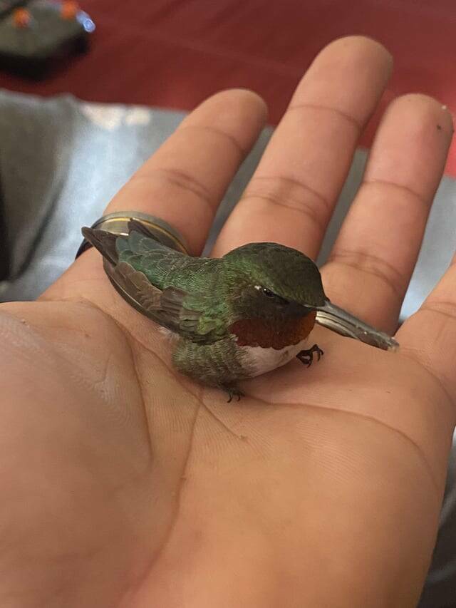 Mildly Interesting Photos That’ll Catch Your Eye