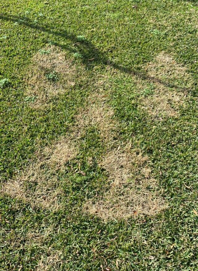 Mildly Interesting Photos That’ll Catch Your Eye