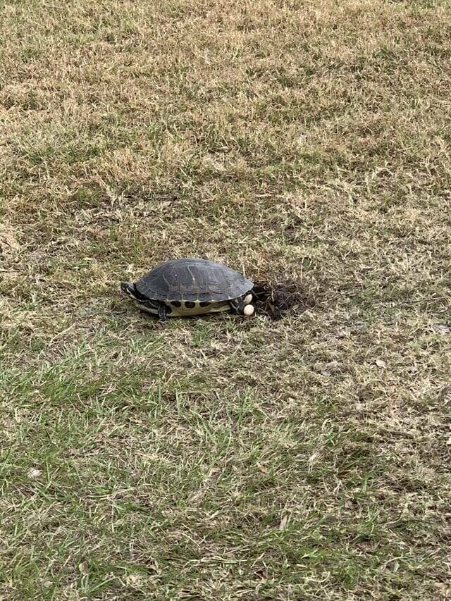 Mildly Interesting Photos That’ll Catch Your Eye