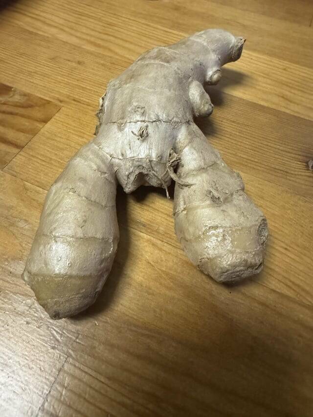 Mildly Interesting Photos That’ll Catch Your Eye