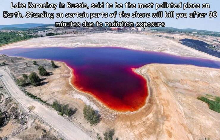 Morning Picdump Morning Picdump