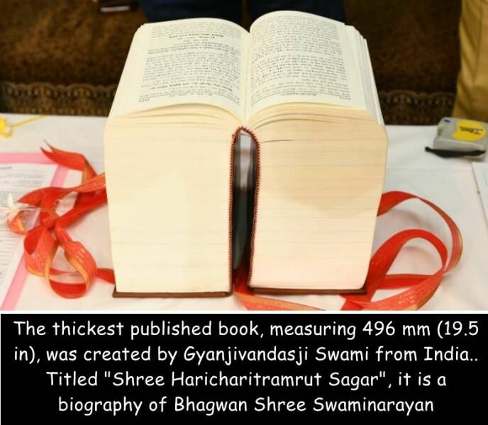 Morning Picdump Morning Picdump