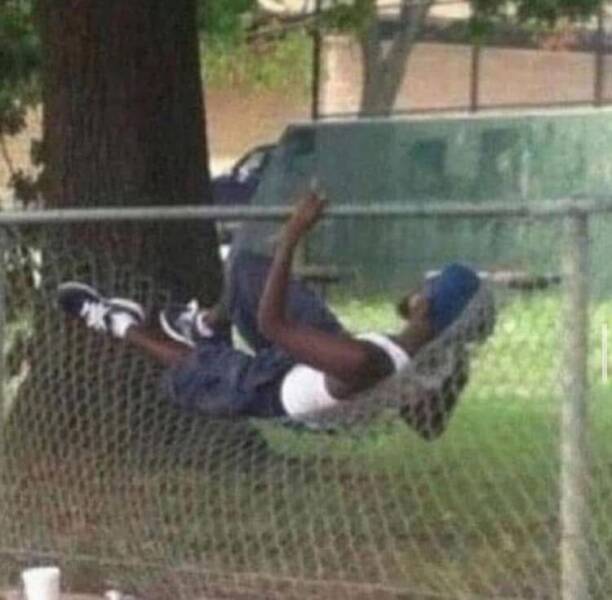 Morning Picdump Morning Picdump