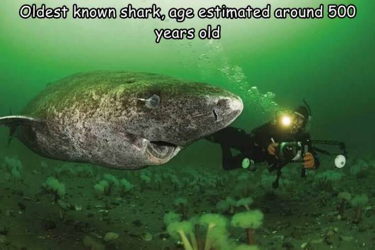 Morning Picdump Morning Picdump