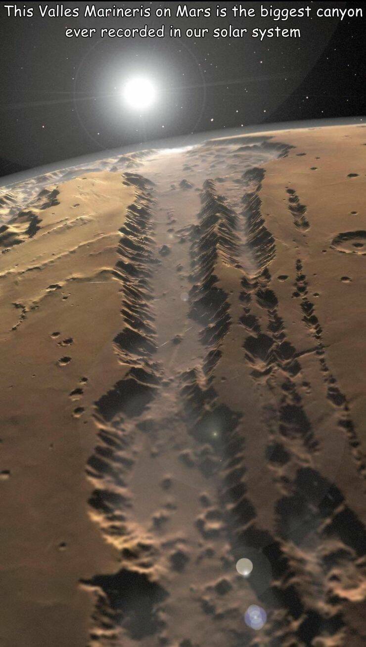 Morning Picdump Morning Picdump