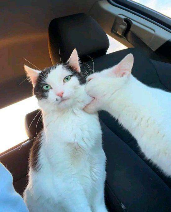 Morning Picdump Morning Picdump