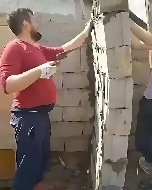 Morning Picdump Morning Picdump