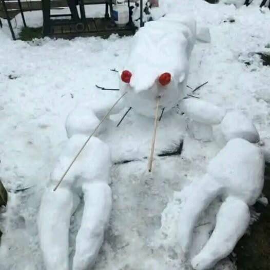 Morning Picdump Morning Picdump