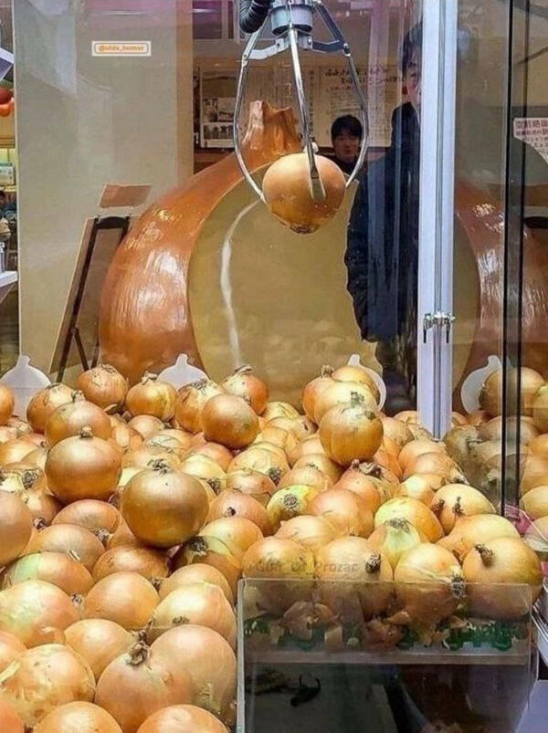 Well, That’s One Big NOPE!