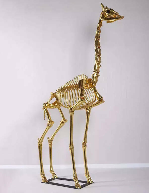 Well, That’s One Big NOPE!