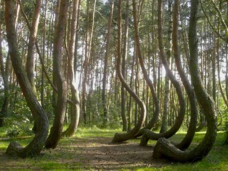 Daily Picdump Daily Picdump