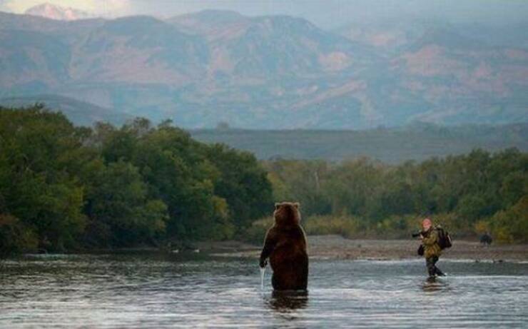 Daily Picdump Daily Picdump