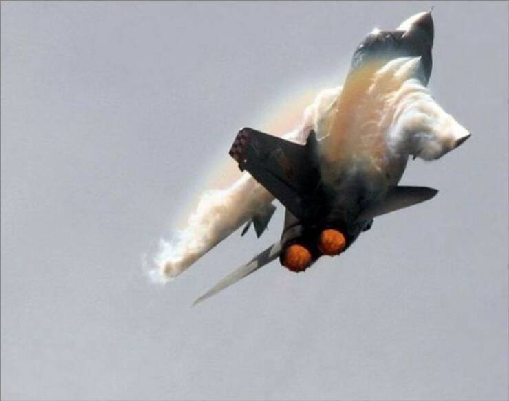 Daily Picdump Daily Picdump