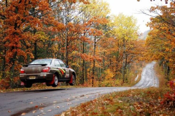 Daily Picdump Daily Picdump