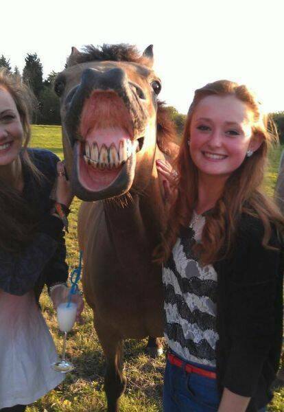 Daily Picdump Daily Picdump