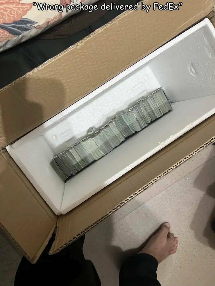 Daily Picdump Daily Picdump