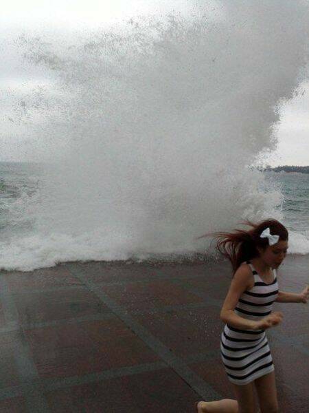 Daily Picdump Daily Picdump