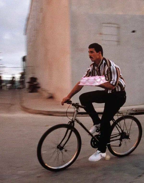 Daily Picdump Daily Picdump