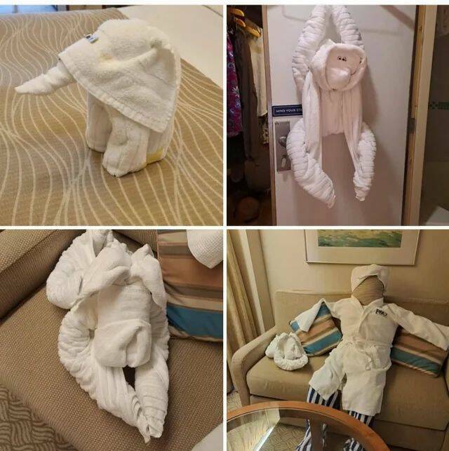 Daily Picdump Daily Picdump