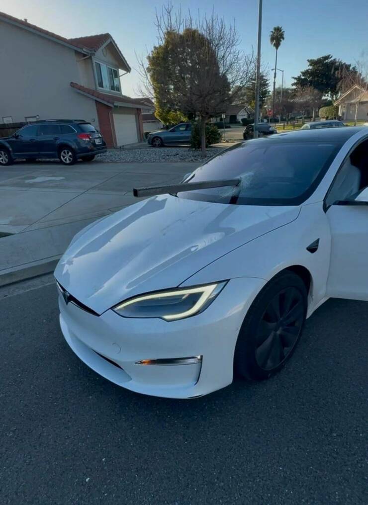 Daily Picdump Daily Picdump