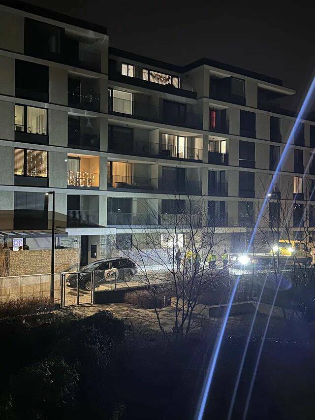 Daily Picdump Daily Picdump